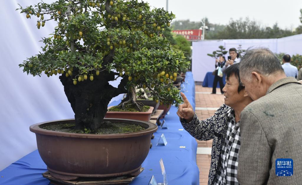 奥门永利402官方网站